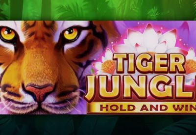 Tiger Jungle: Hold and Win